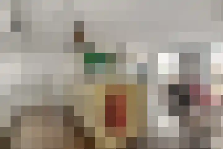 Von Weberhof 24 Zwolle thumbnail 22