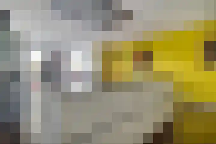 Von Weberhof 24 Zwolle thumbnail 23