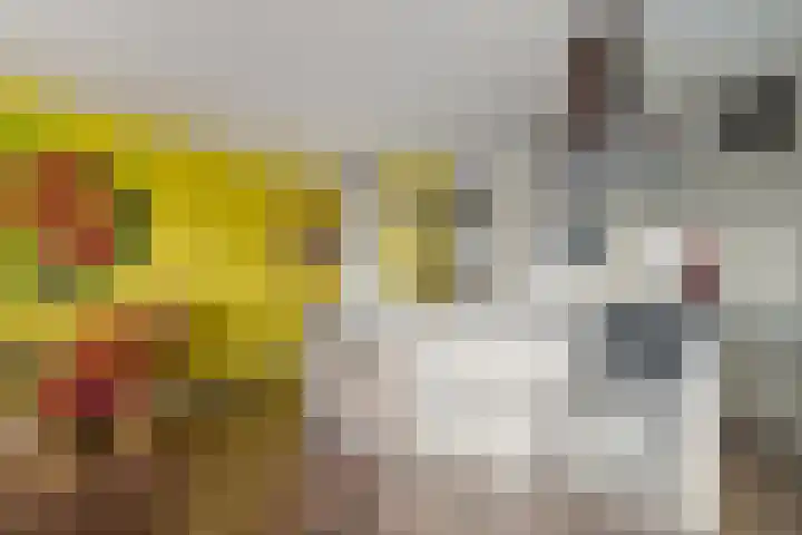Von Weberhof 24 Zwolle thumbnail 24