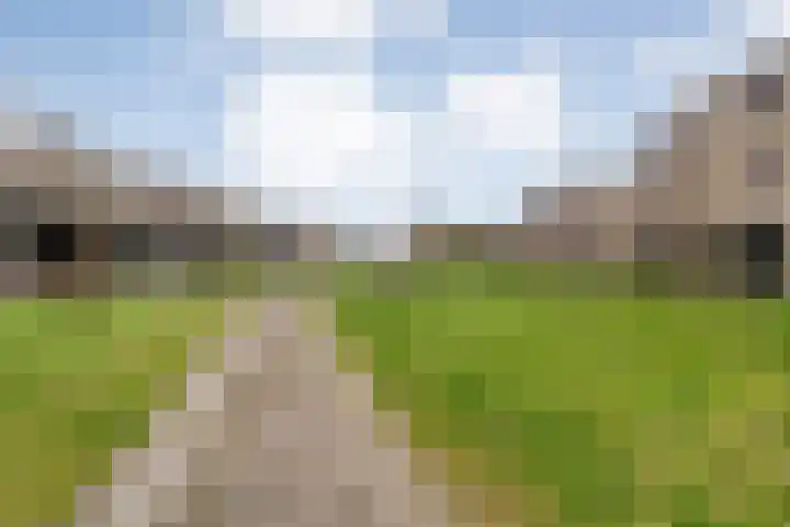 Von Weberhof 24 Zwolle thumbnail 39