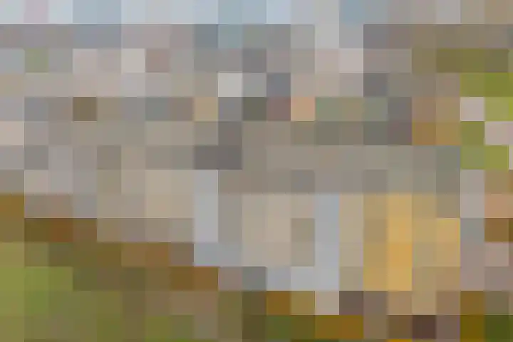 Von Weberhof 24 Zwolle thumbnail 40