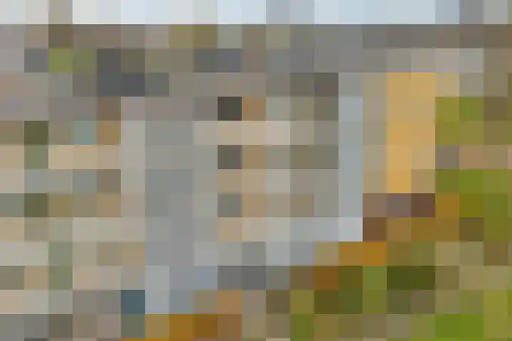Von Weberhof 24 Zwolle thumbnail 41