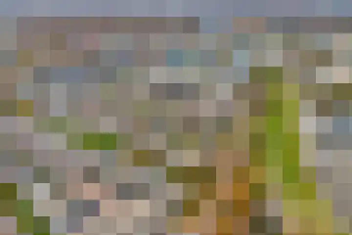 Von Weberhof 24 Zwolle thumbnail 42
