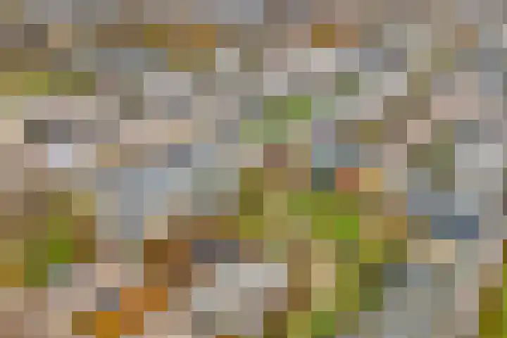 Von Weberhof 24 Zwolle thumbnail 43