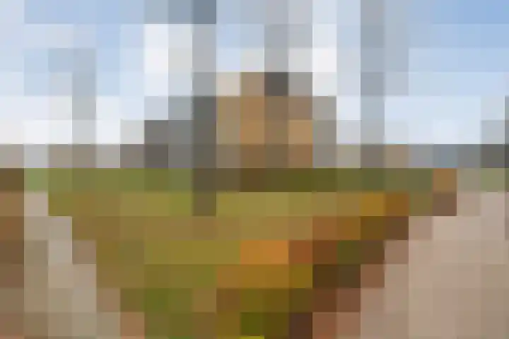 Von Weberhof 24 Zwolle thumbnail 44