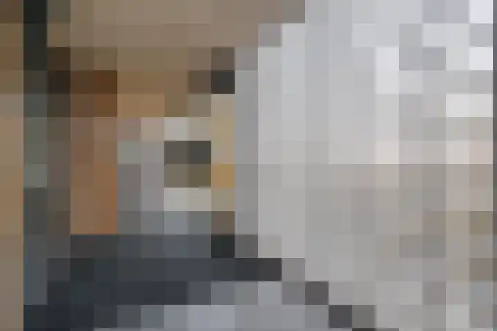 Von Weberhof 24 Zwolle thumbnail 9