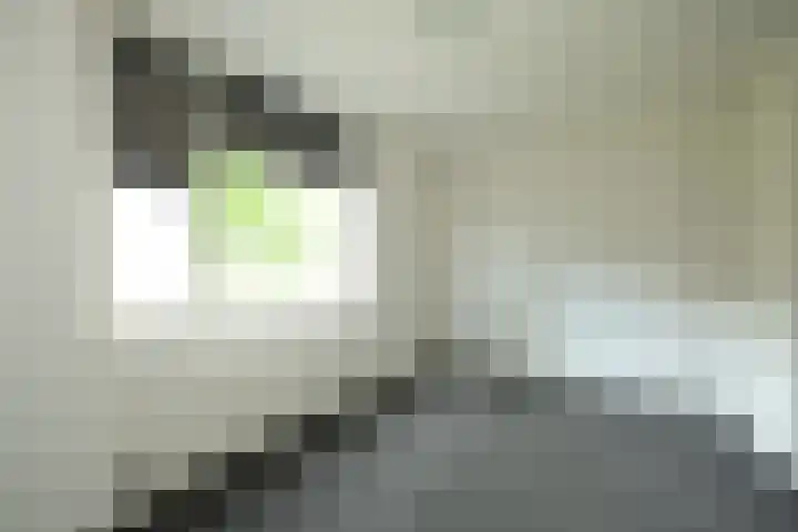 Von Weberhof 3 Zwolle thumbnail 10