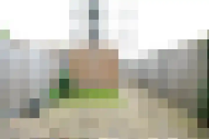 Von Weberhof 3 Zwolle thumbnail 12