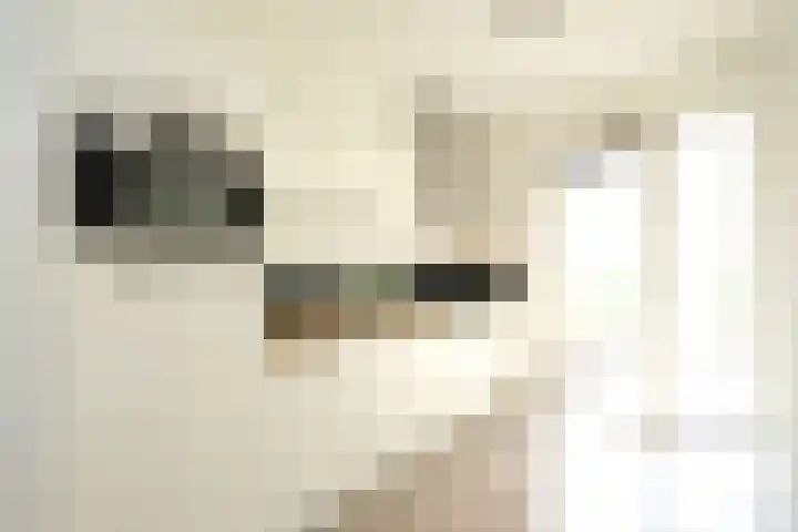 Von Weberhof 3 Zwolle thumbnail 5