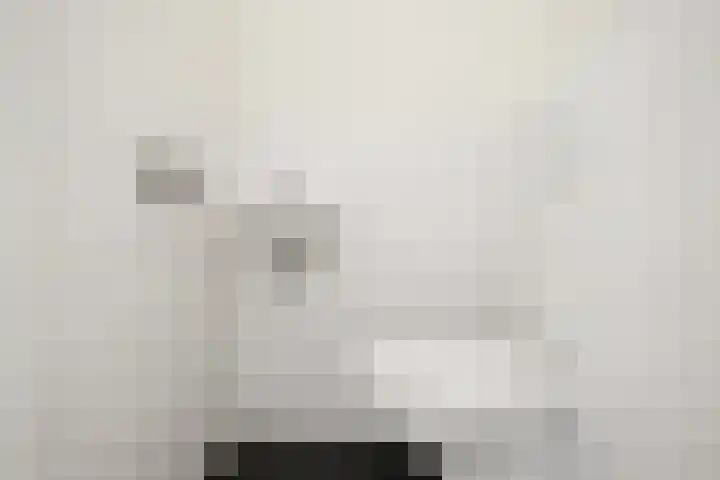 Von Weberhof 3 Zwolle thumbnail 6