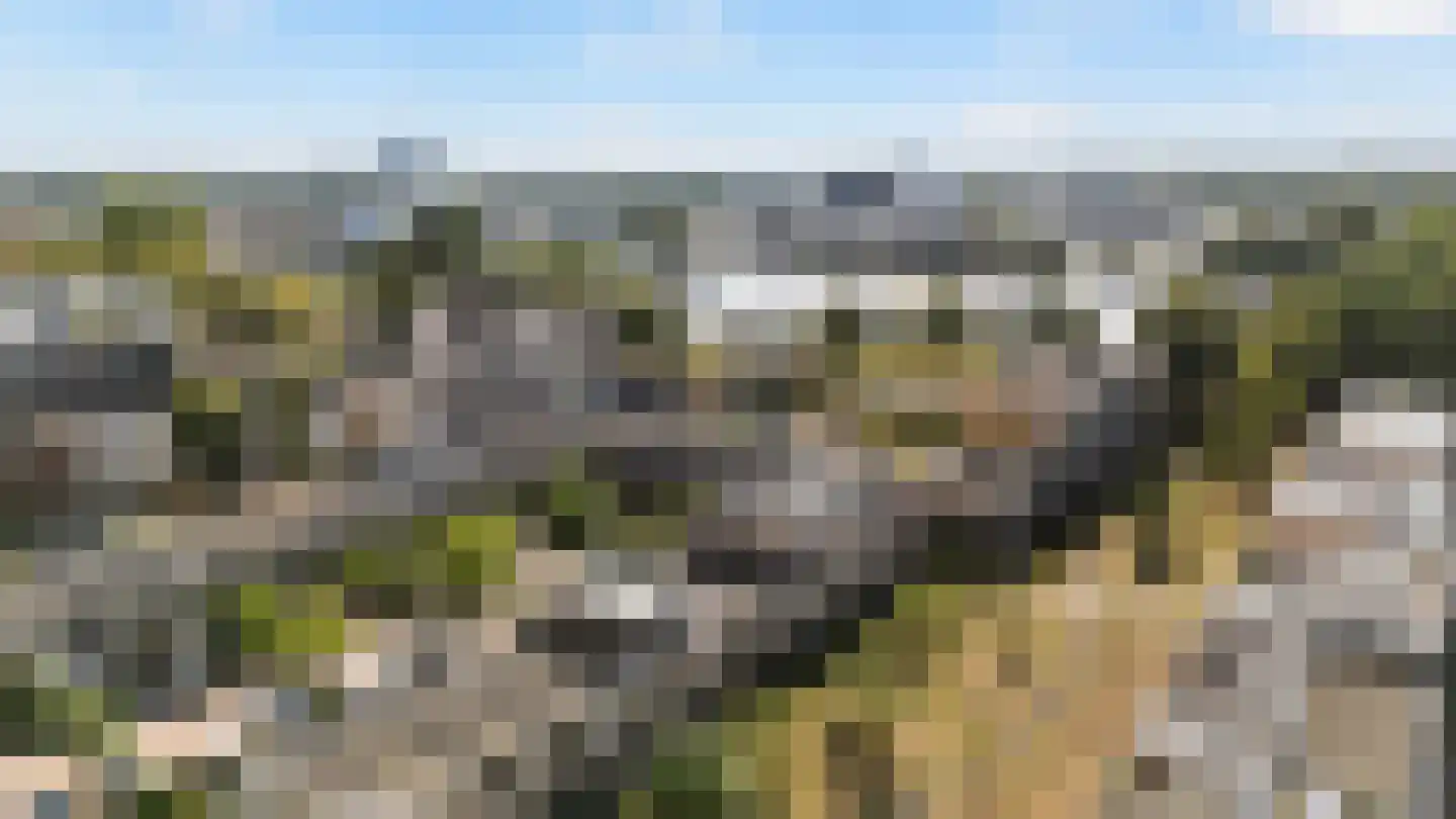Von Weberhof 42 Zwolle thumbnail 13