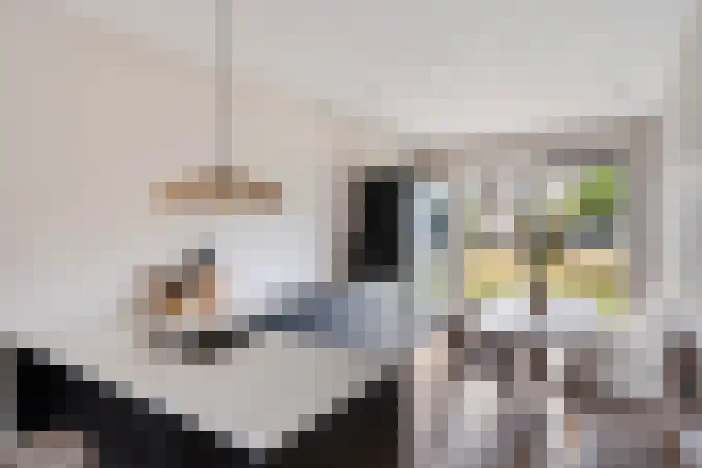 Von Weberhof 42 Zwolle thumbnail 16