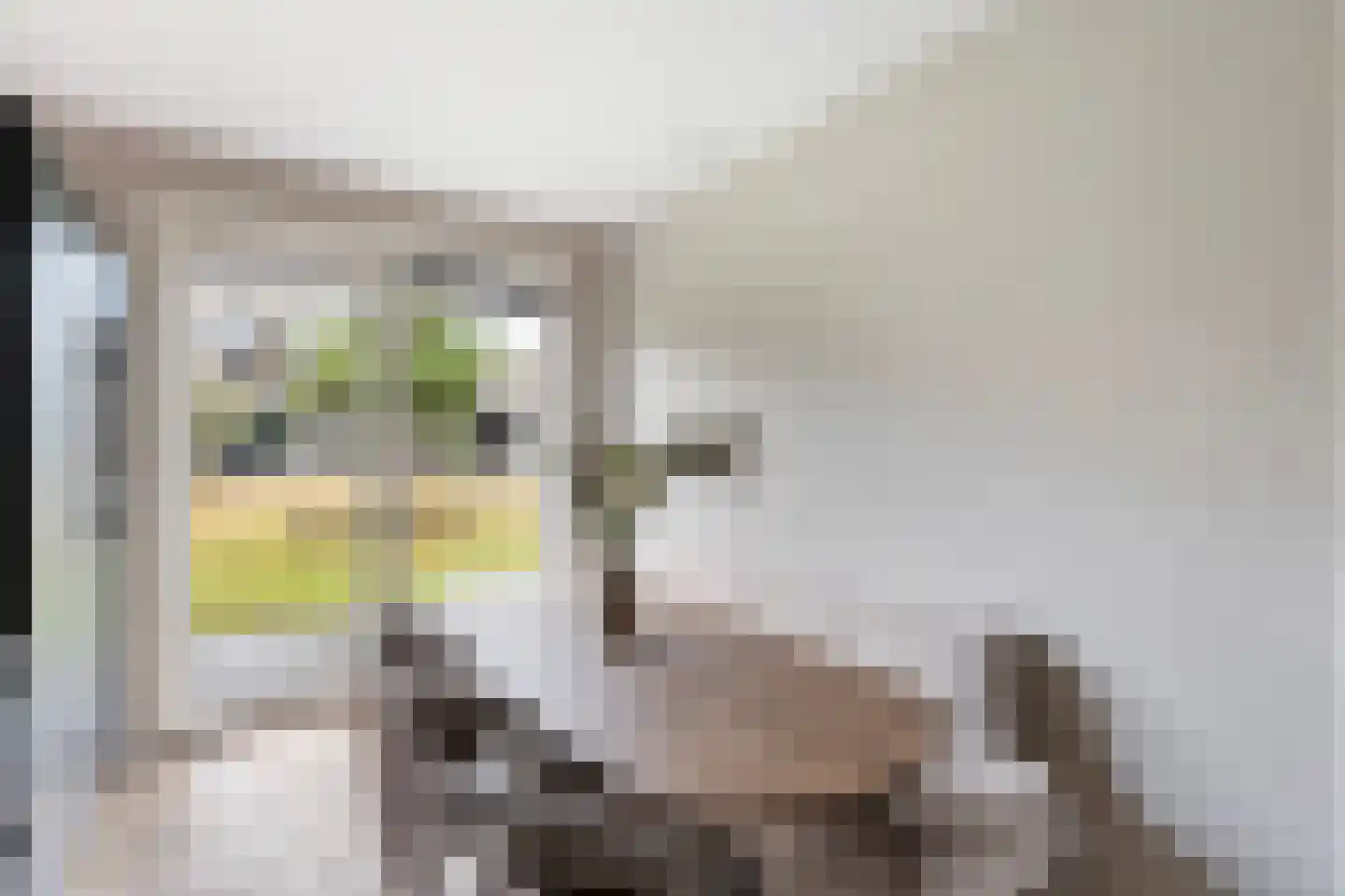 Von Weberhof 42 Zwolle thumbnail 17