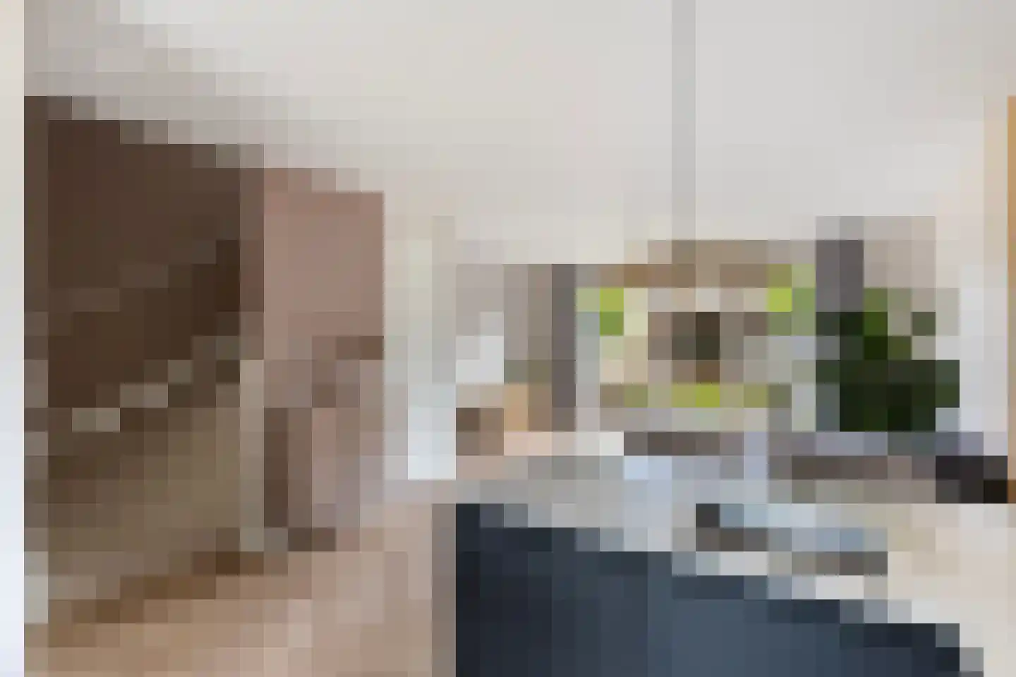 Von Weberhof 42 Zwolle thumbnail 18