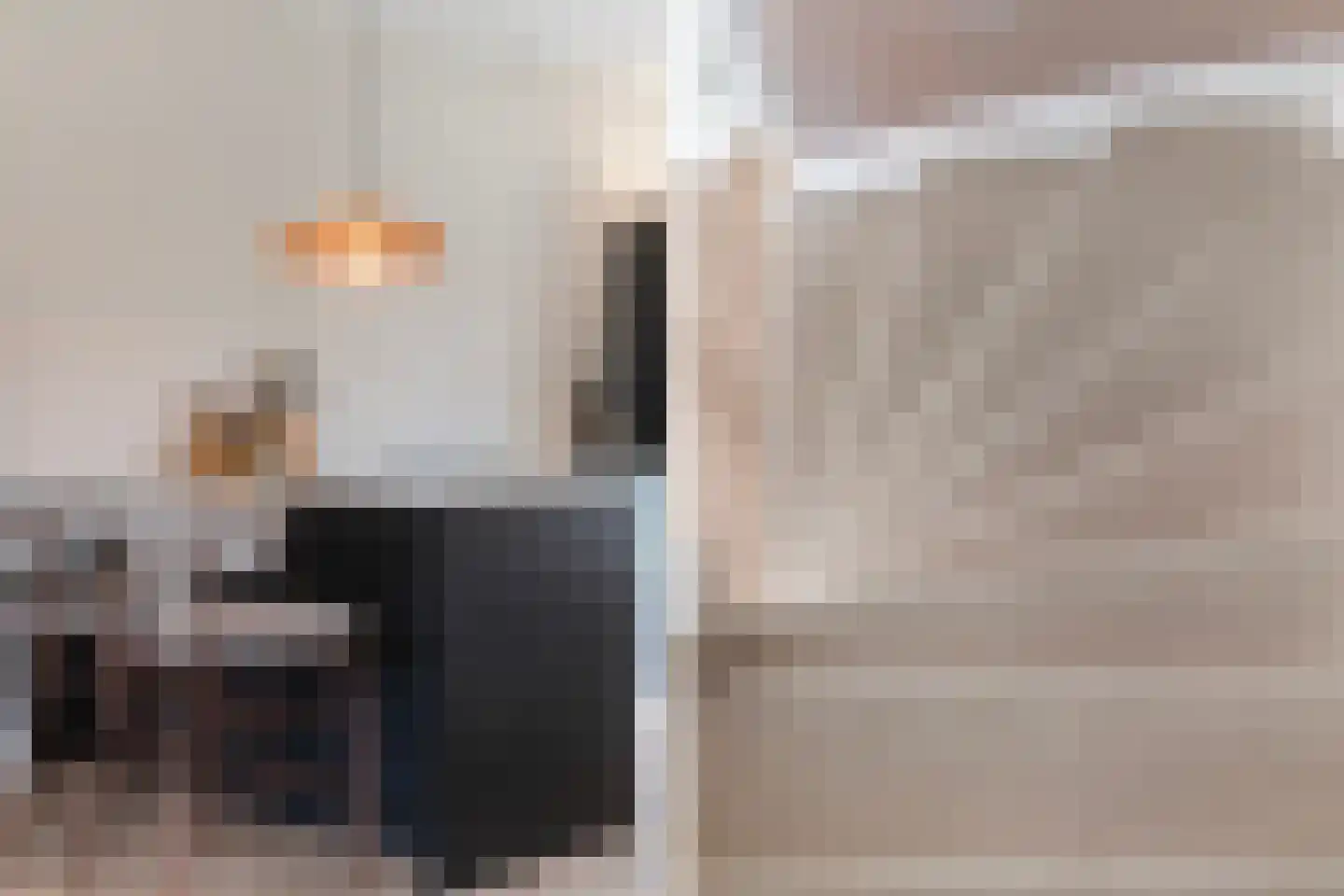 Von Weberhof 42 Zwolle thumbnail 19