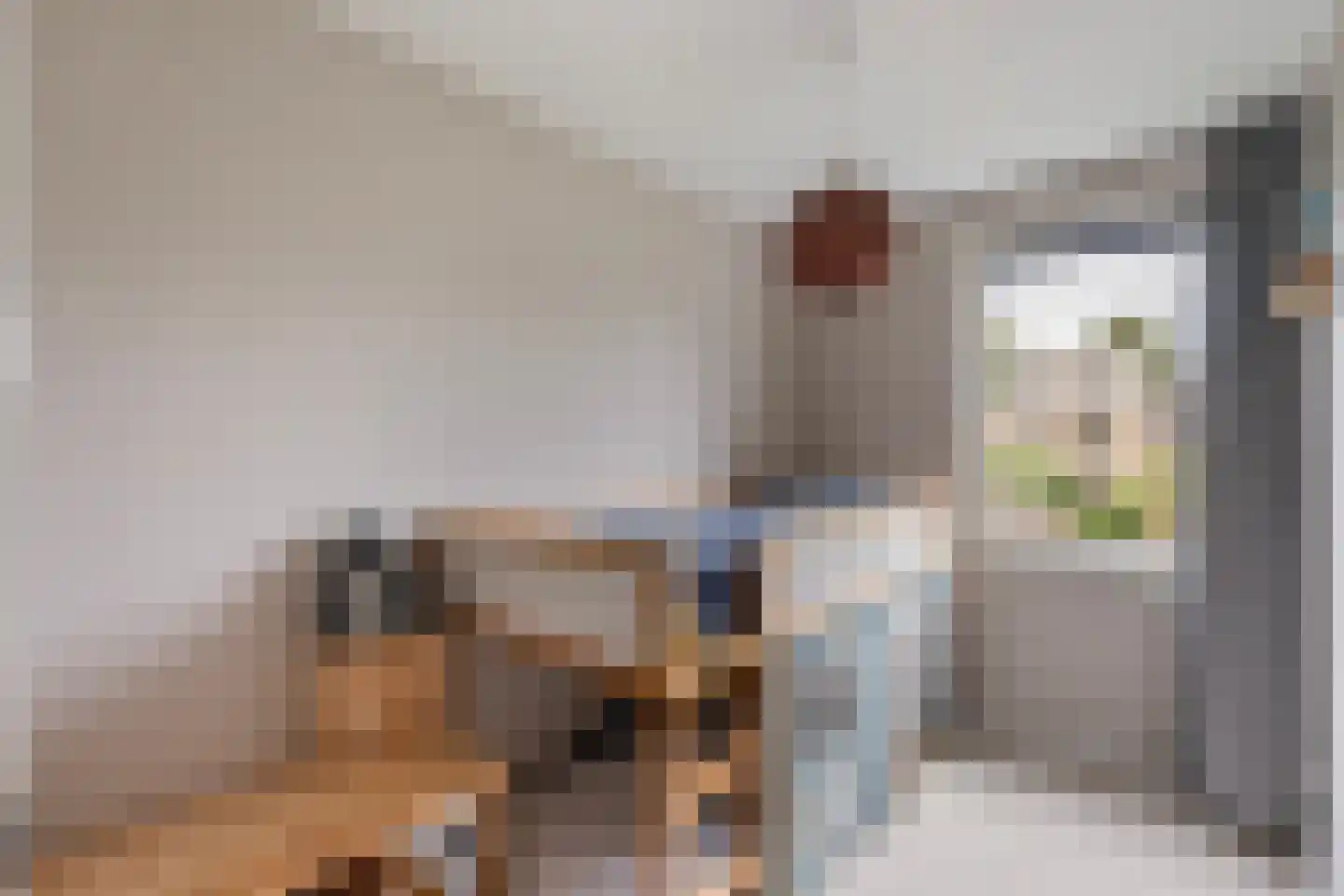 Von Weberhof 42 Zwolle thumbnail 22