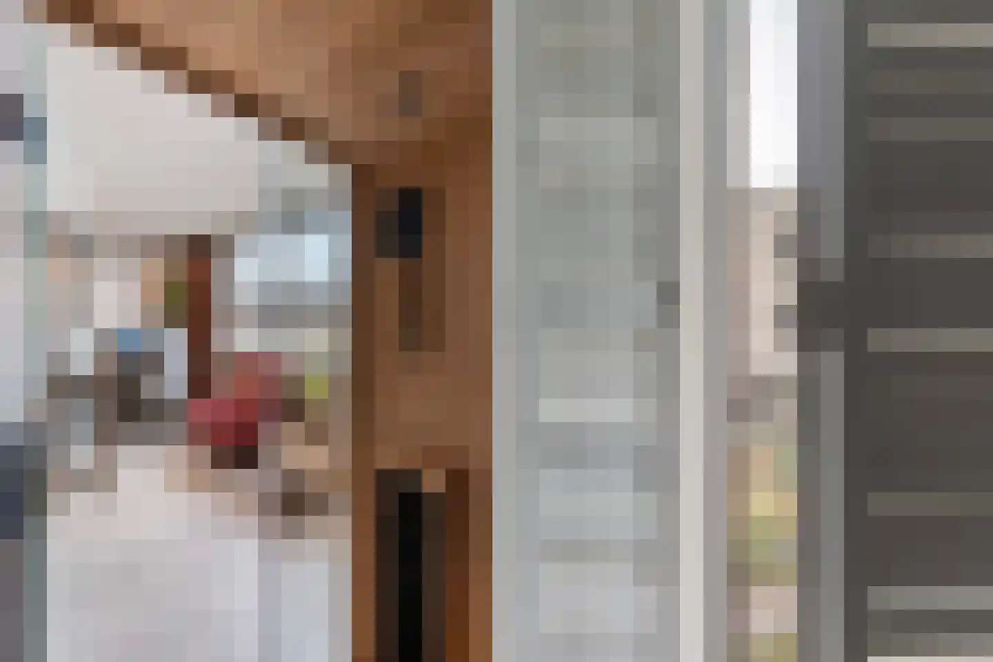 Von Weberhof 42 Zwolle thumbnail 28