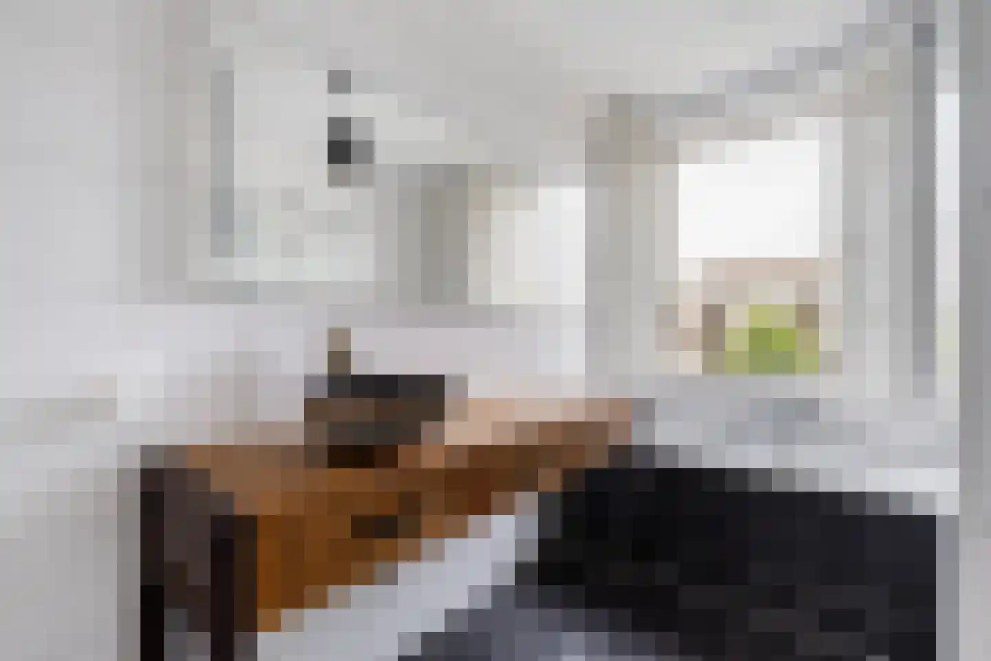Von Weberhof 42 Zwolle thumbnail 29