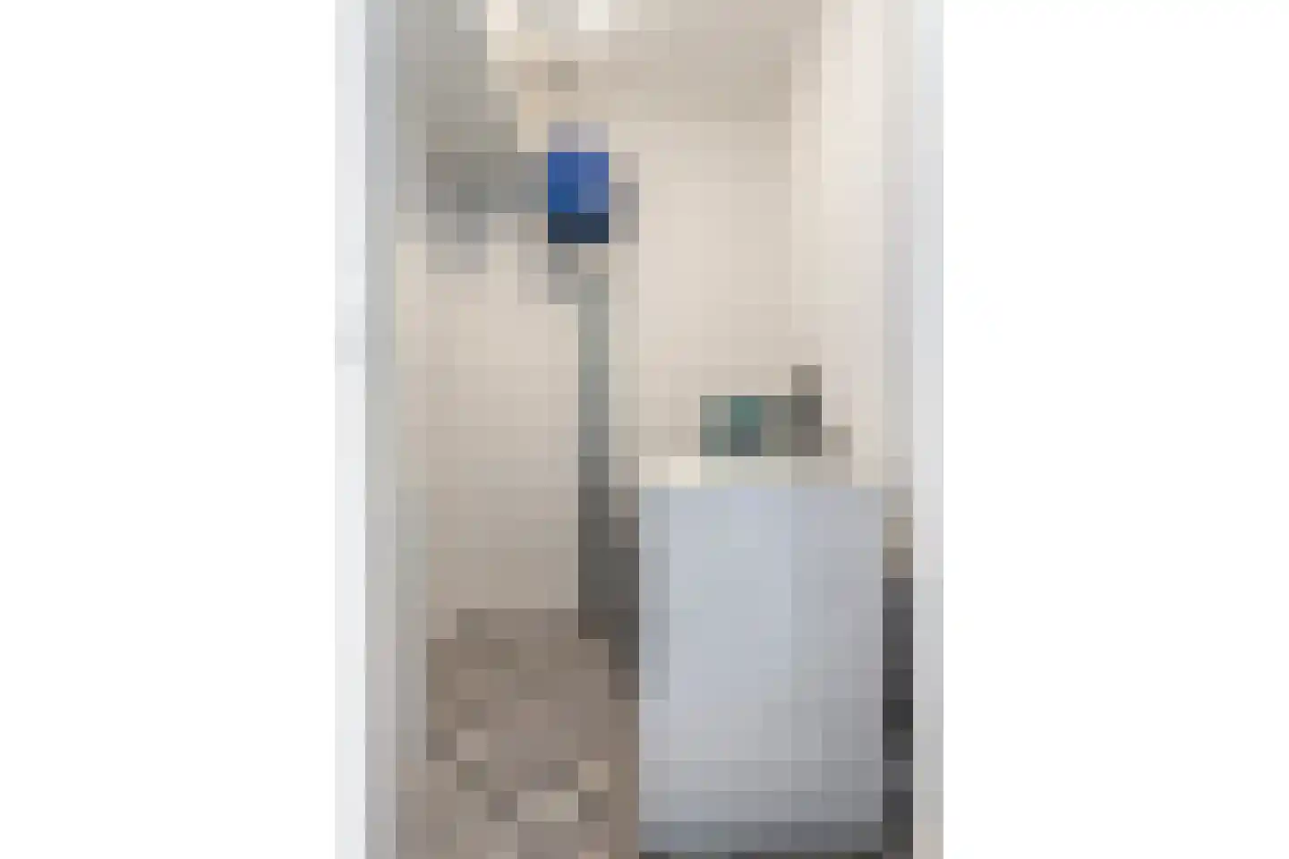 Von Weberhof 42 Zwolle thumbnail 31