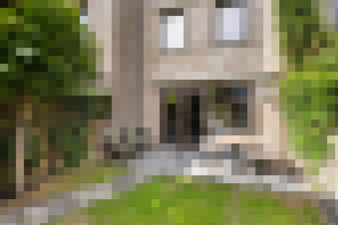 Von Weberhof 42 Zwolle thumbnail 4