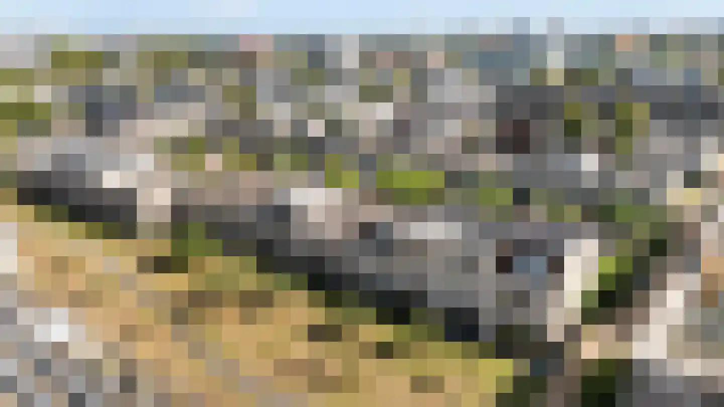 Von Weberhof 42 Zwolle thumbnail 9
