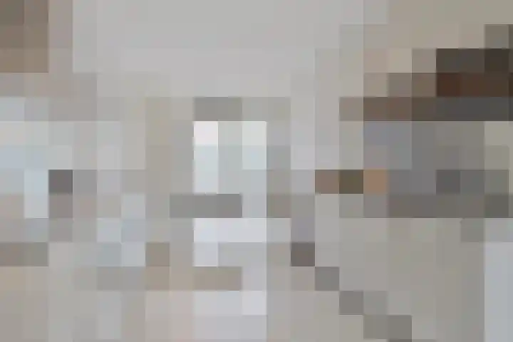 Von Weberhof 48 Zwolle thumbnail 10