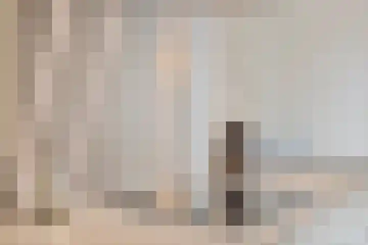 Von Weberhof 48 Zwolle thumbnail 11