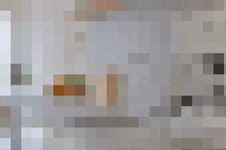 Von Weberhof 48 Zwolle thumbnail 12