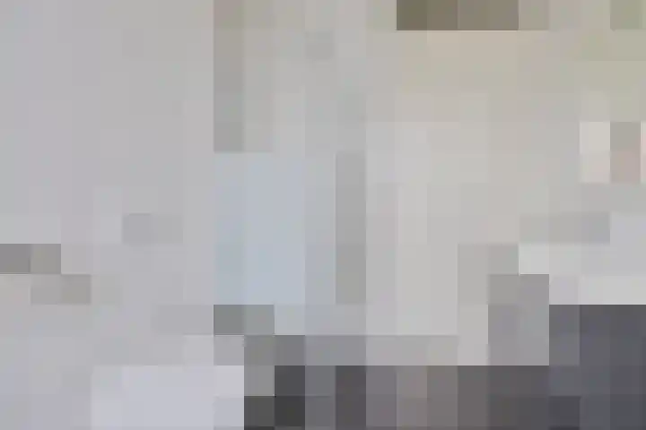 Von Weberhof 48 Zwolle thumbnail 19