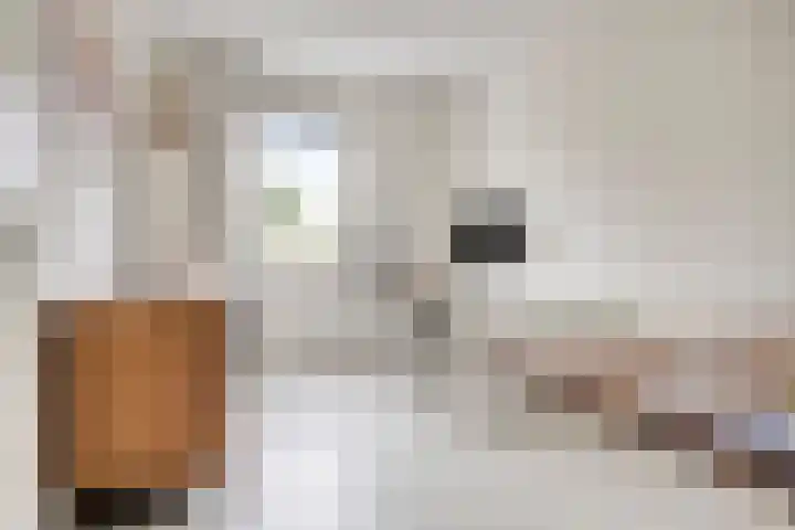 Von Weberhof 48 Zwolle thumbnail 20