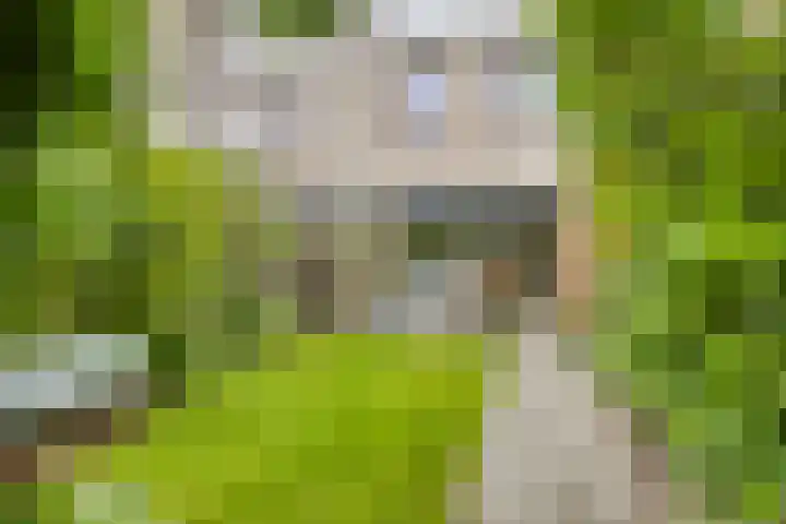 Von Weberhof 48 Zwolle thumbnail 23