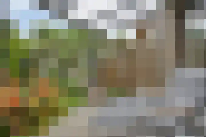 Von Weberhof 48 Zwolle thumbnail 24