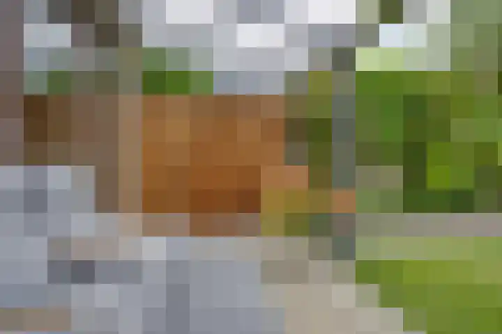 Von Weberhof 48 Zwolle thumbnail 25