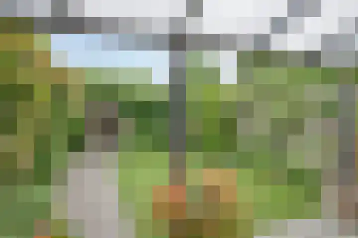 Von Weberhof 48 Zwolle thumbnail 26