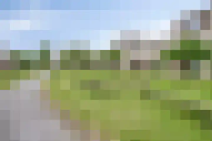 Von Weberhof 48 Zwolle thumbnail 29