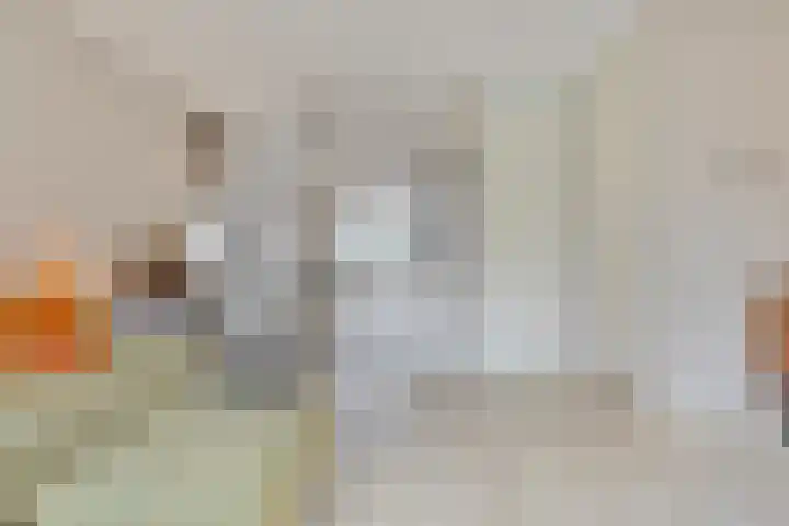 Von Weberhof 48 Zwolle thumbnail 8