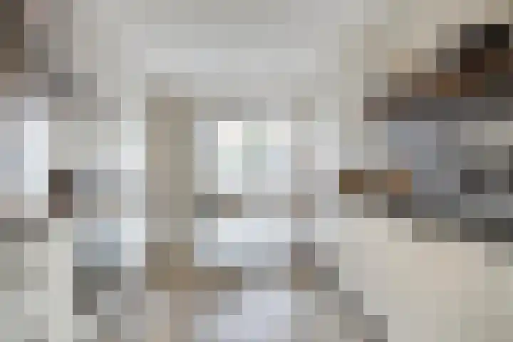 Von Weberhof 48 Zwolle thumbnail 9