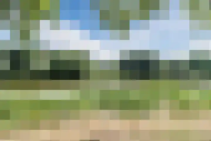 Von Weberplantsoen 14 Zwijndrecht thumbnail 35