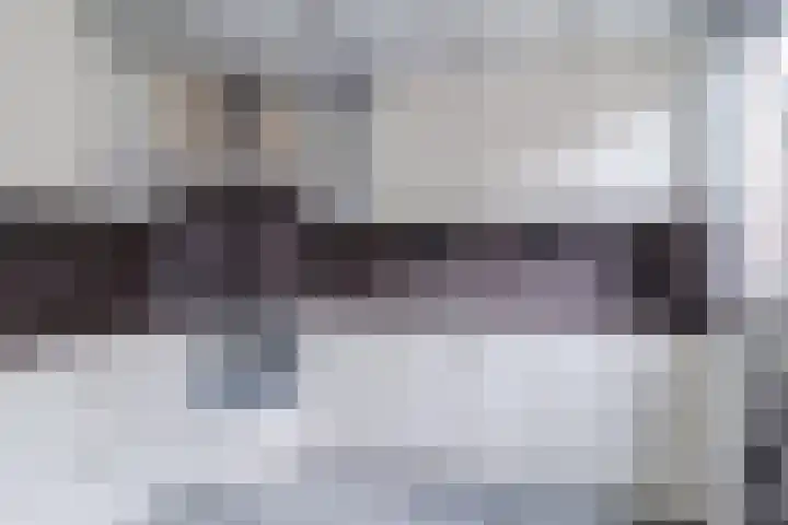 Von Weberplantsoen 14 Zwijndrecht thumbnail 7