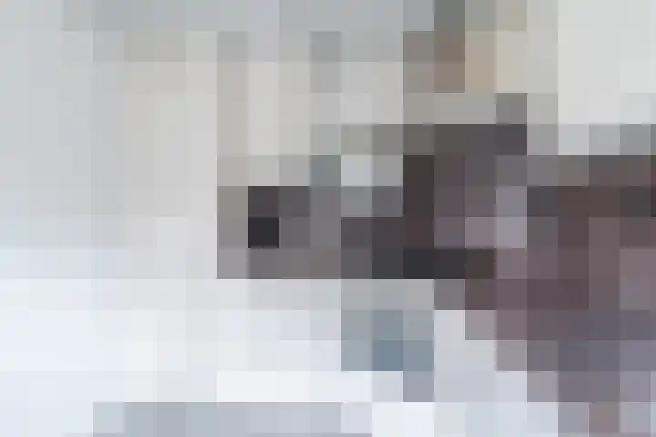 Von Weberplantsoen 14 Zwijndrecht thumbnail 8