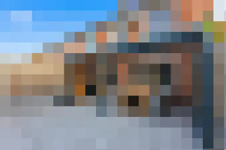 Von Weberplantsoen 41 Zwijndrecht thumbnail 4
