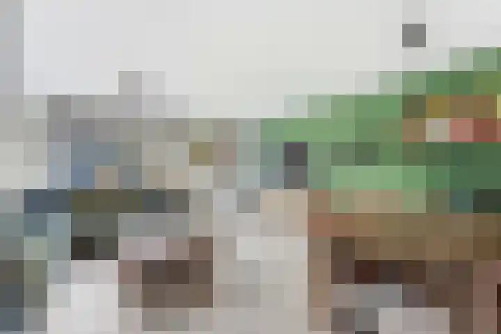 Von Weberplantsoen 41 Zwijndrecht thumbnail 7