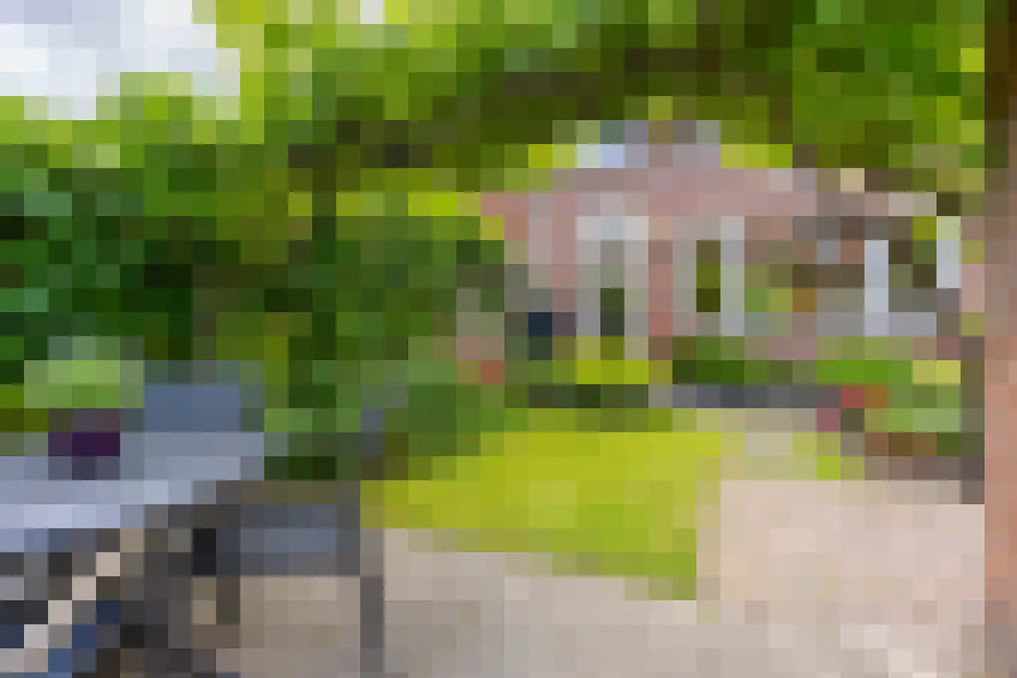 Von Weberstraat 39 Utrecht thumbnail 13