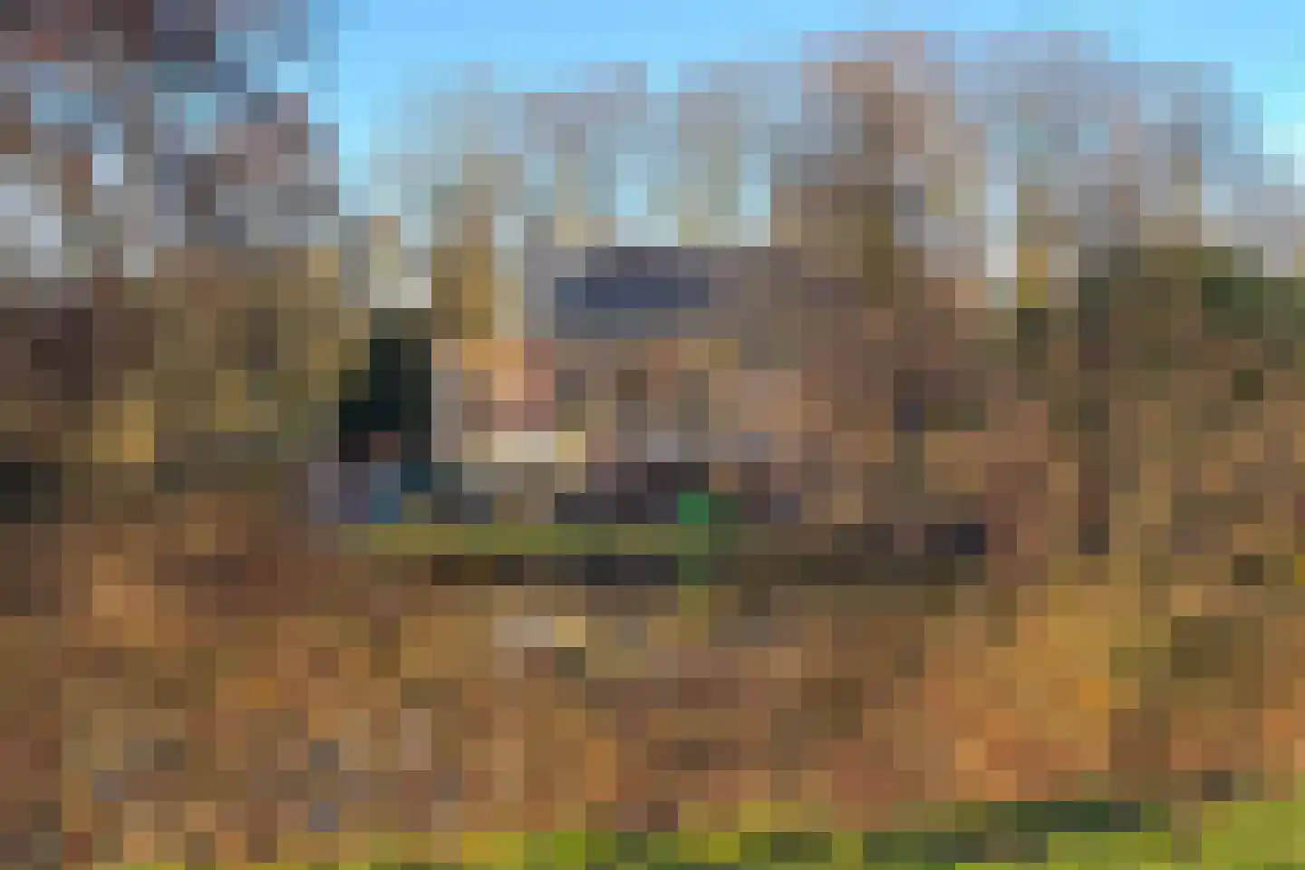 Von Weberstraat 39 Utrecht thumbnail 32