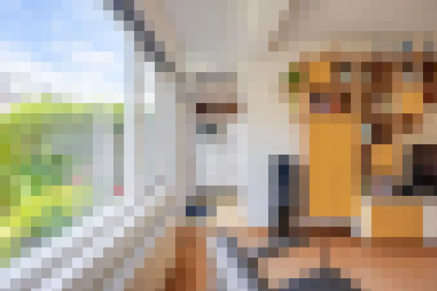 Von Weberstraat 39 Utrecht thumbnail 7