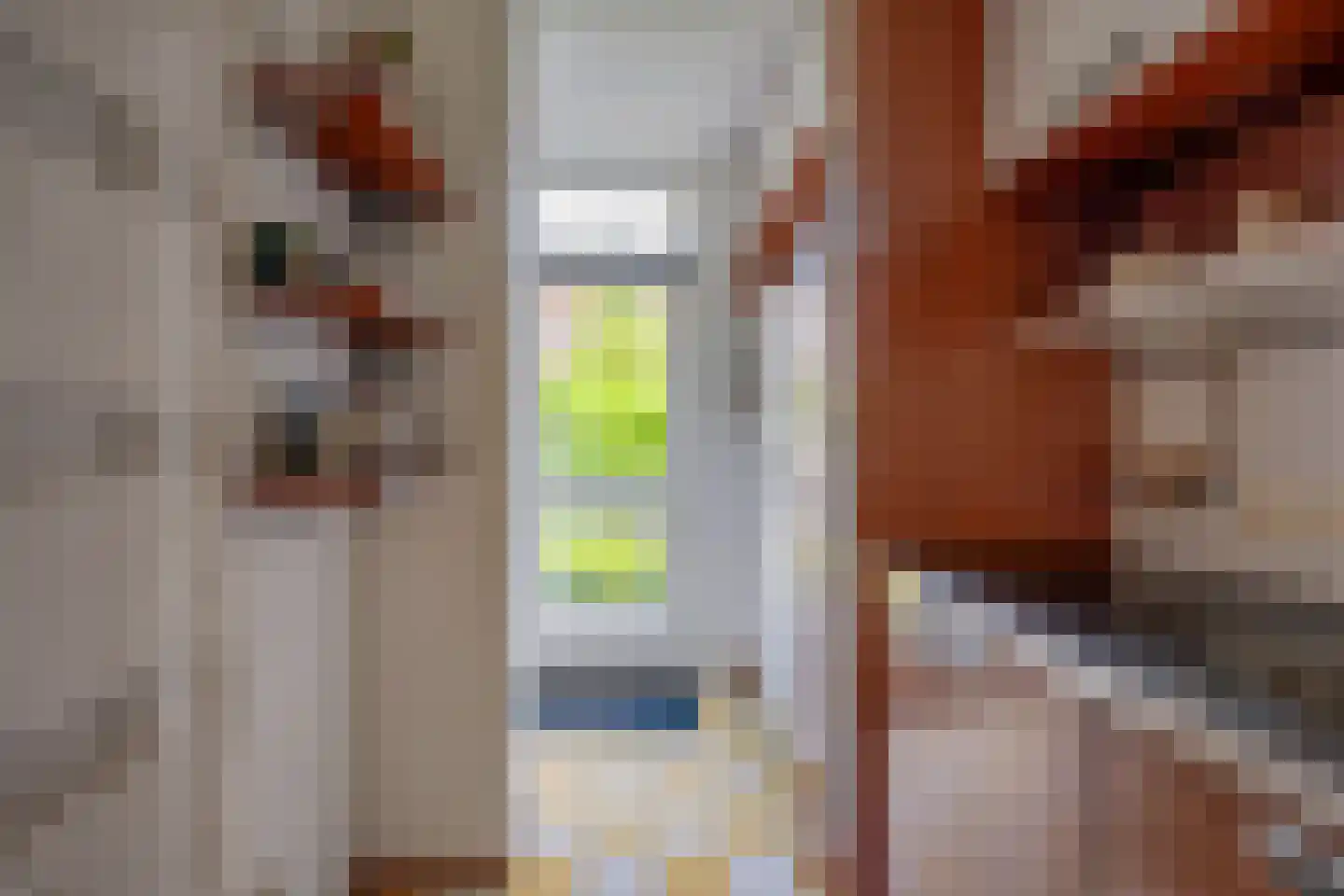 Von Weberstraat 39 Utrecht thumbnail 9