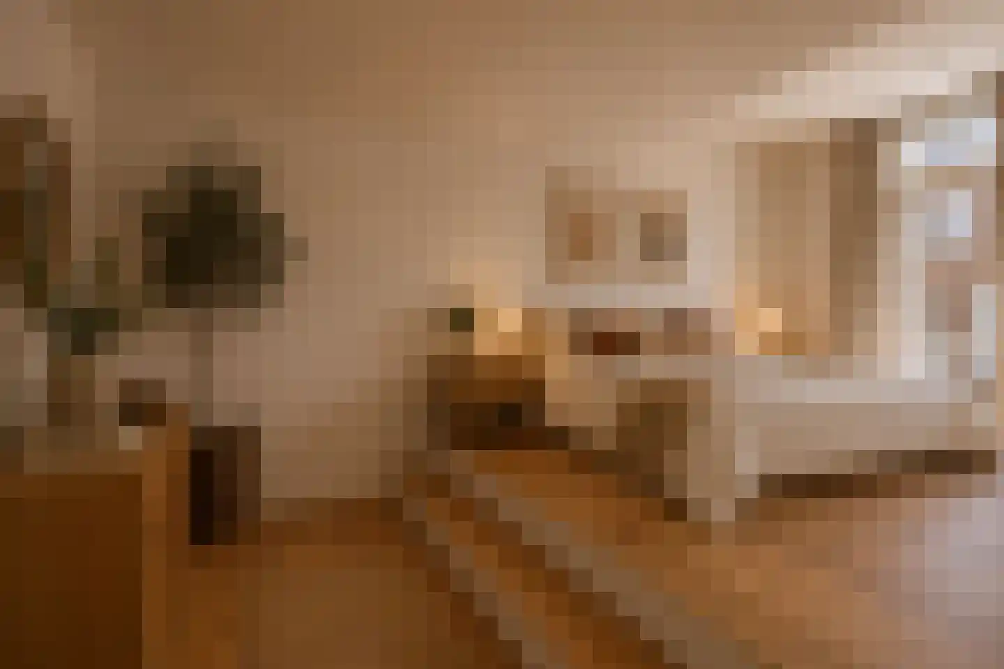 Von Zesenstraat 184 Amsterdam thumbnail 37