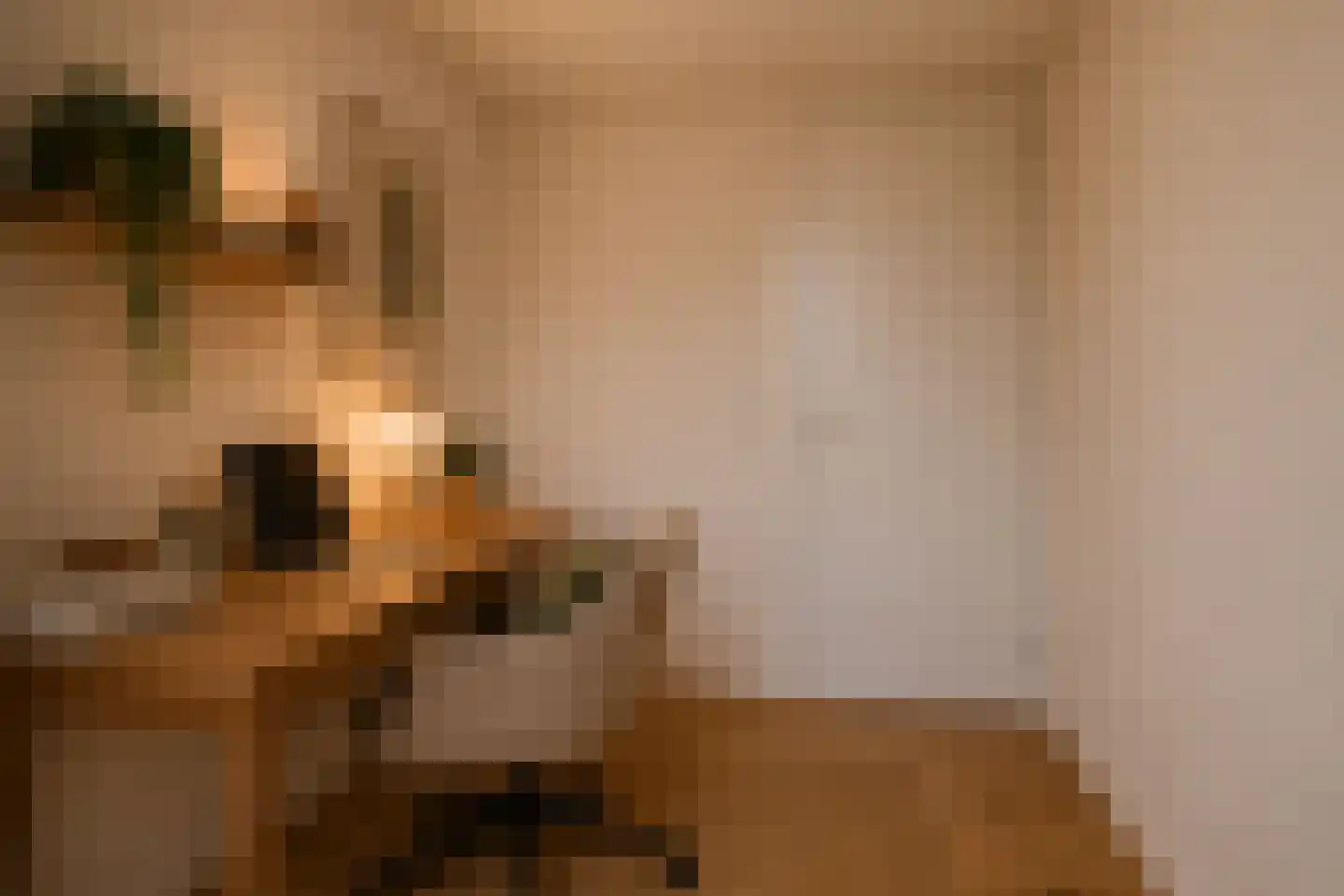 Von Zesenstraat 184 Amsterdam thumbnail 41
