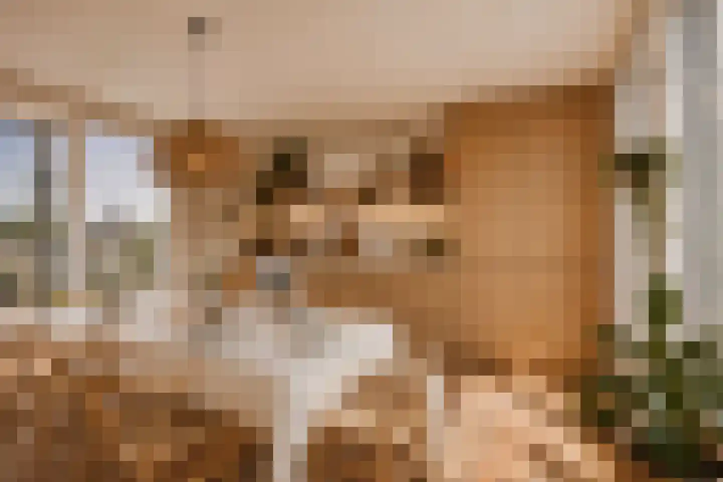 Von Zesenstraat 184 Amsterdam thumbnail 43