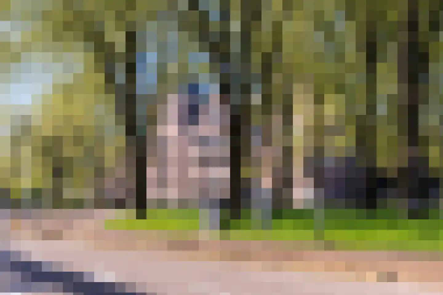 Von Zesenstraat 184 Amsterdam thumbnail 53